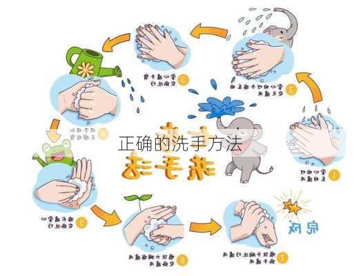 正确的洗手方法