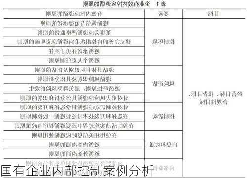 国有企业内部控制案例分析