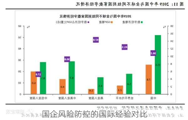 国企风险防控的国际经验对比