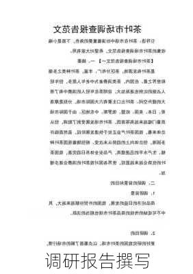 调研报告撰写