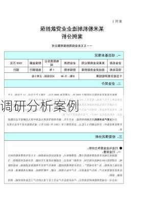 调研分析案例