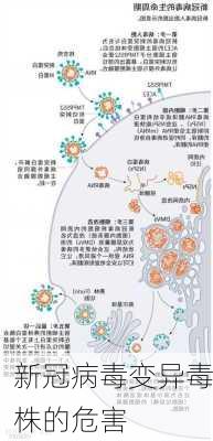 新冠病毒变异毒株的危害