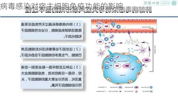 病毒感染对宿主细胞免疫功能的影响