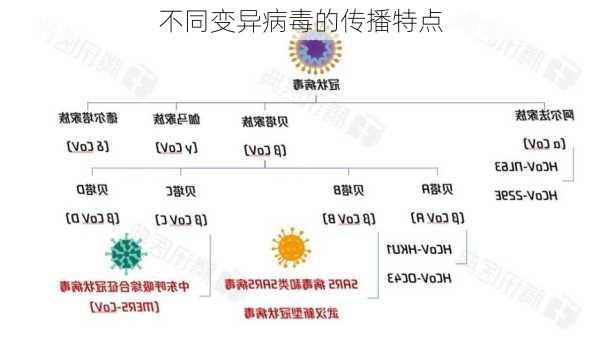 不同变异病毒的传播特点