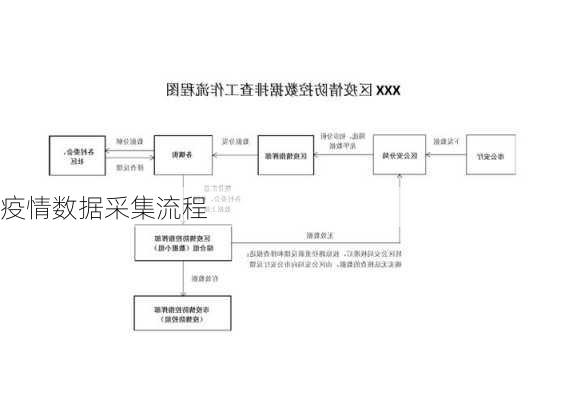 疫情数据采集流程