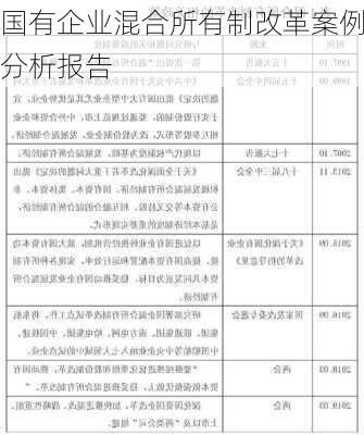 国有企业混合所有制改革案例分析报告