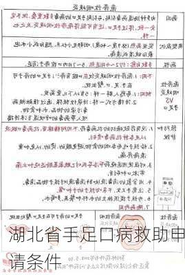 湖北省手足口病救助申请条件
