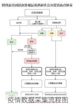 疫情数据采集流程图