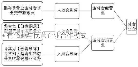 国有企业与民营企业合作模式
