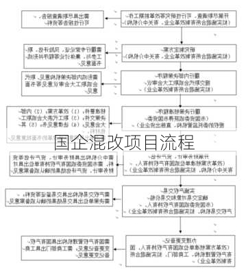 国企混改项目流程