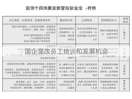 国企混改员工培训和发展机会