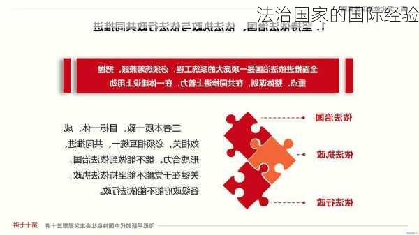 法治国家的国际经验