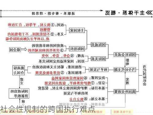 社会性规制的跨国执行难点