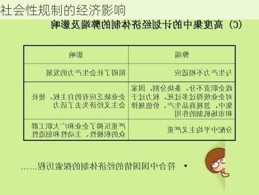 社会性规制的经济影响