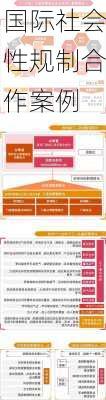 国际社会性规制合作案例