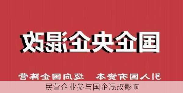 民营企业参与国企混改影响