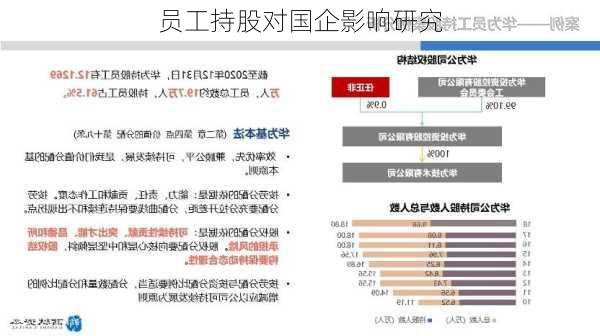 员工持股对国企影响研究