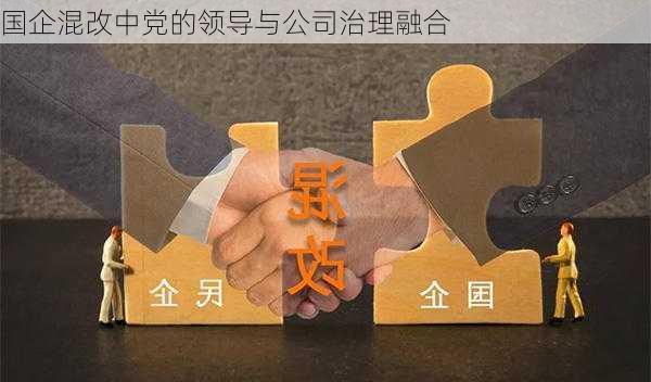 国企混改中党的领导与公司治理融合