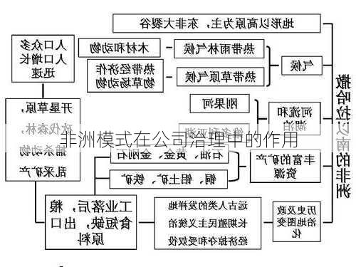 非洲模式在公司治理中的作用