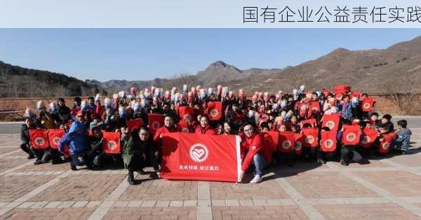 国有企业公益责任实践