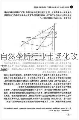 自然垄断行业市场化改革