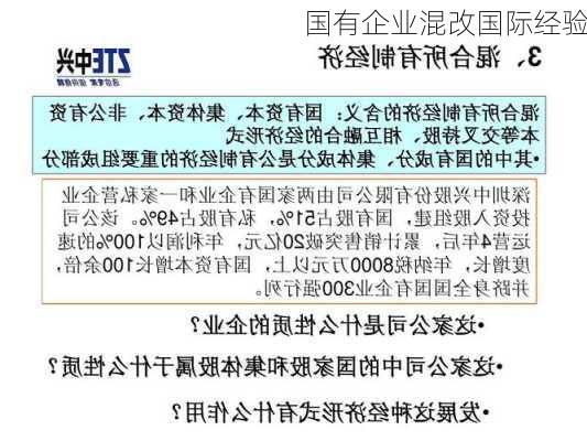 国有企业混改国际经验