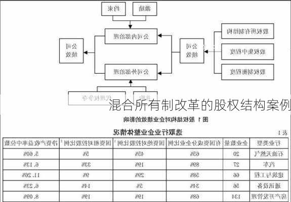 混合所有制改革的股权结构案例