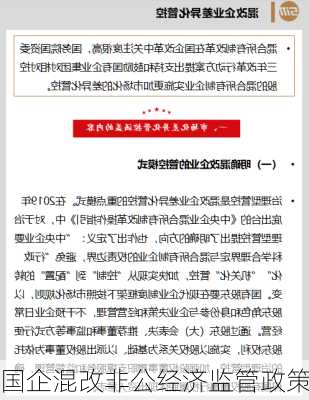 国企混改非公经济监管政策