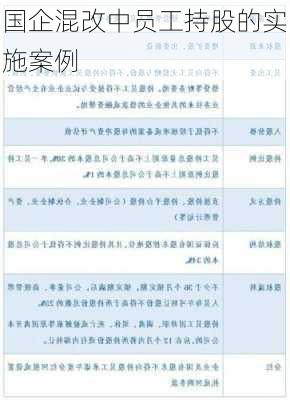 国企混改中员工持股的实施案例