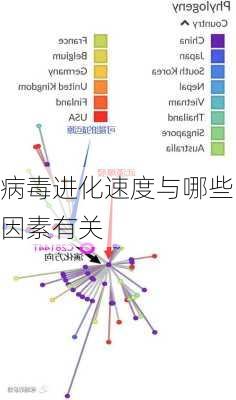 病毒进化速度与哪些因素有关