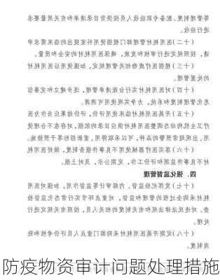 防疫物资审计问题处理措施