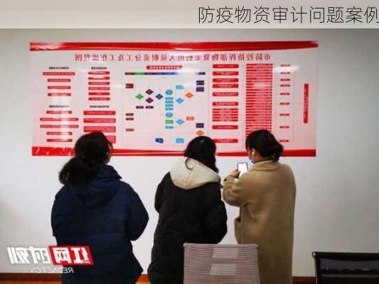 防疫物资审计问题案例