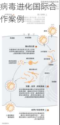 病毒进化国际合作案例