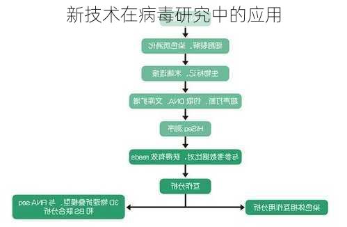 新技术在病毒研究中的应用