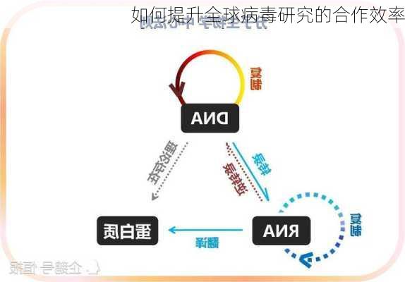 如何提升全球病毒研究的合作效率