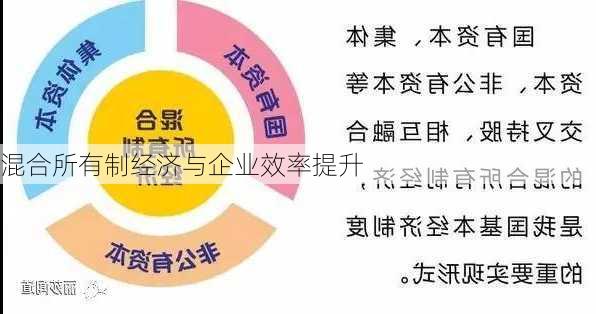 混合所有制经济与企业效率提升