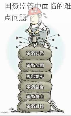 国资监管中面临的难点问题
