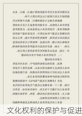 文化权利的保护与促进