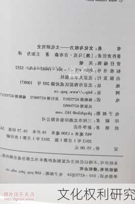 文化权利研究