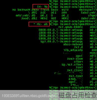 磁盘占用检查