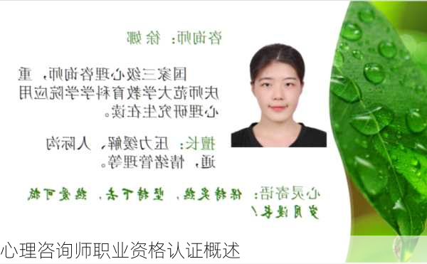 心理咨询师职业资格认证概述