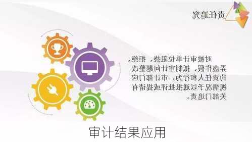 审计结果应用