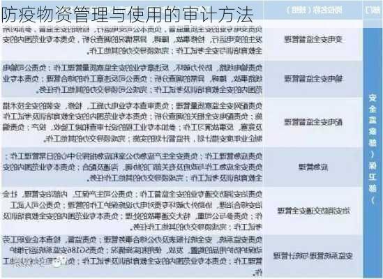 防疫物资管理与使用的审计方法