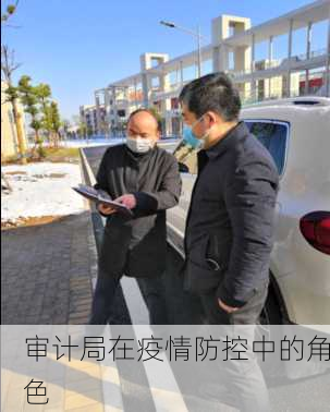 审计局在疫情防控中的角色