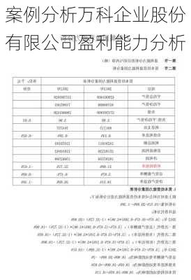 案例分析万科企业股份有限公司盈利能力分析