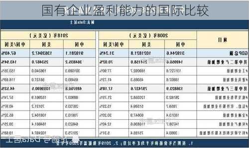 国有企业盈利能力的国际比较