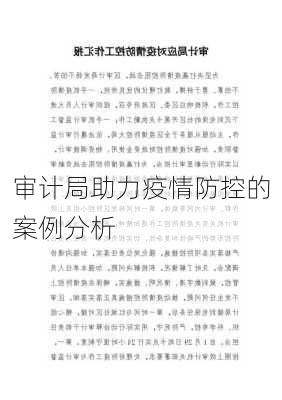 审计局助力疫情防控的案例分析