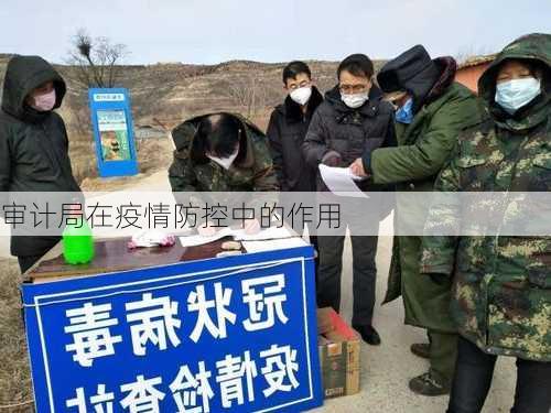 审计局在疫情防控中的作用