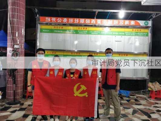 审计局党员下沉社区