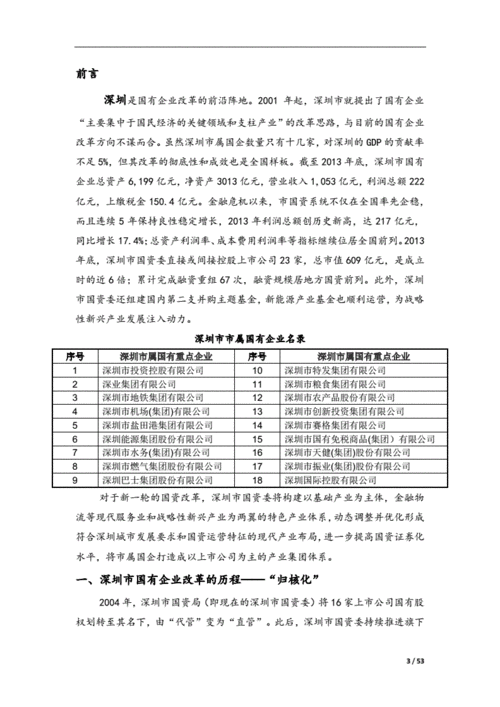 国有企业案例分析探究